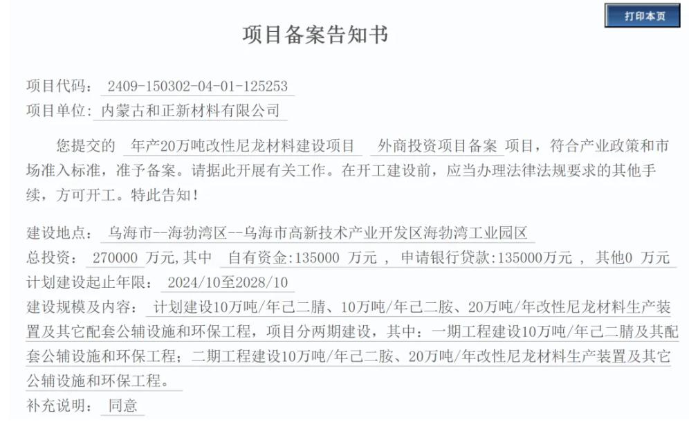内蒙古年产20万吨改性尼龙项目完成备案