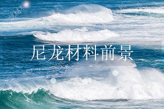 2024年尼龙材料发展前景 趋势预测