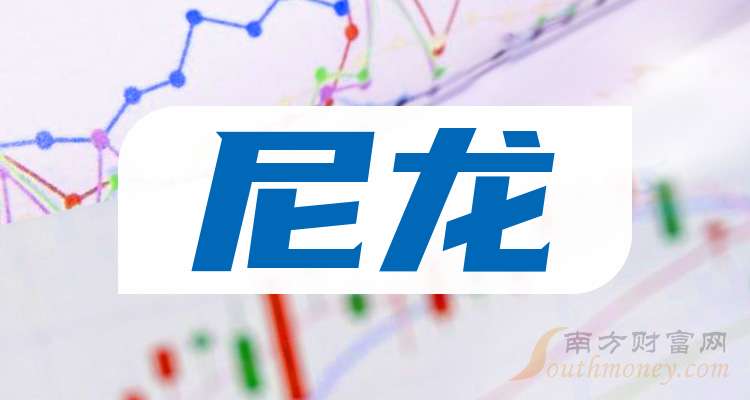 A股2024年尼龙上市公司龙头股票名单汇总