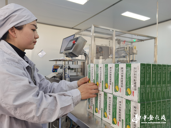 全面实施“六一战略” 聚力建设美好亳州