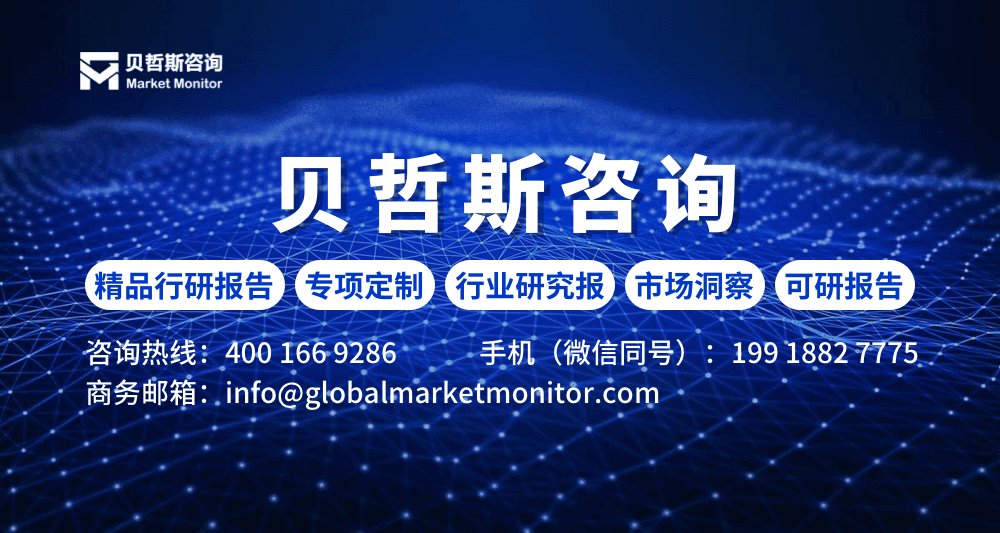 2024年工程塑料尼龙系列行业特点分析pptx