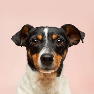 80%羊毛20%锦纶的毛衣优缺点