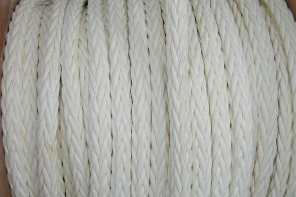 上海紫江企业集团股份有限公司关于为控股子公司提供担保的进展公告