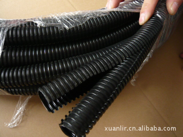 2026中国书包市场：变革中寻找机遇创新中赢得未来