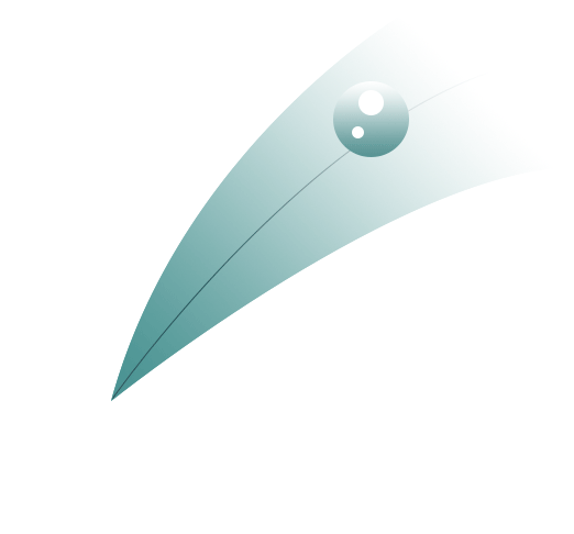 尼龙可以从生物中“长”出来？